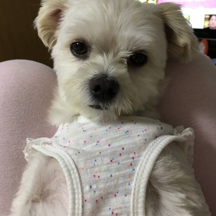 B327e3d1 8737 435d b099 cc4dc88a2817