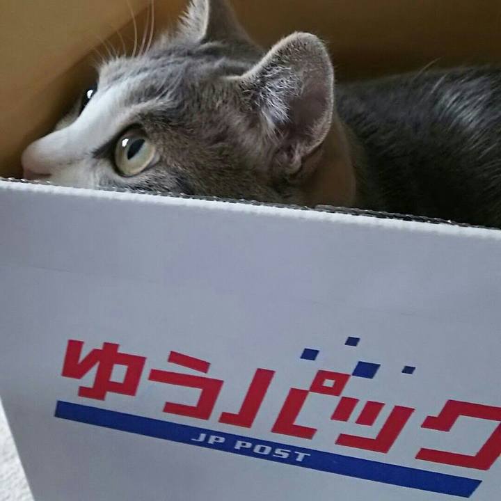 B3285b79 7fa7 4a2f 9377 bc44abde82c7