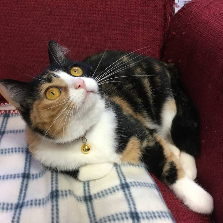 B3287186 a132 4169 a451 32ce8e515885