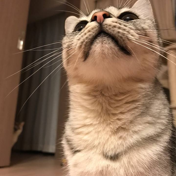 B328c0a8 1c62 4297 9212 c3e5af64e16d