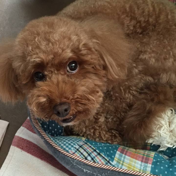 B328cfc1 7518 4fc4 b2a6 bb103d46cb48