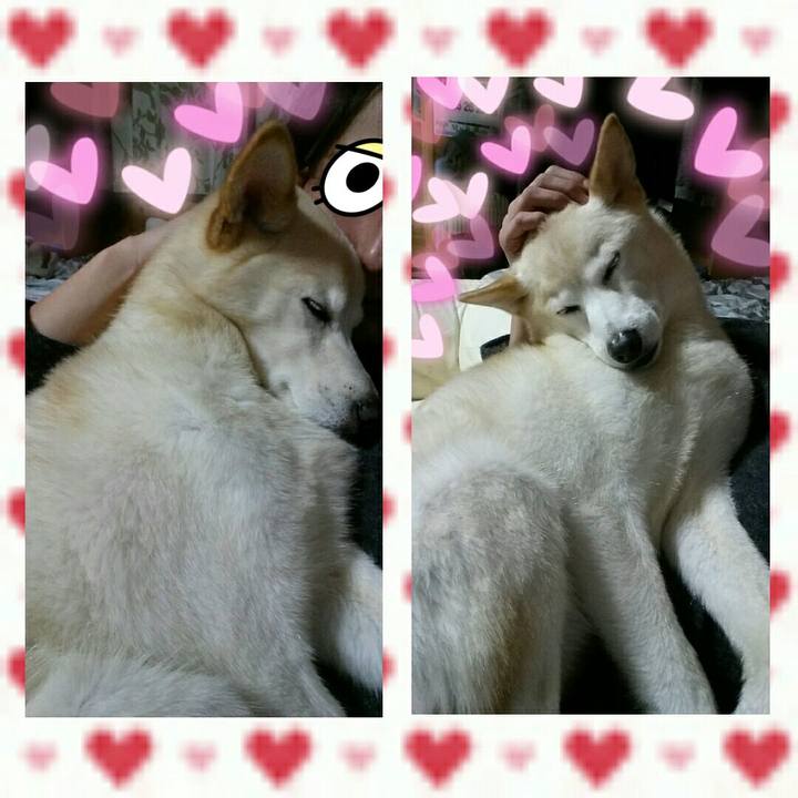 B32a00c4 6776 4d4e 9958 6165f84fe724