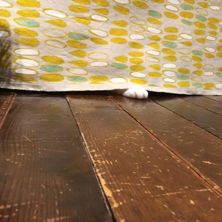 B32a1ab1 248e 449d 9419 6d1f6888719a