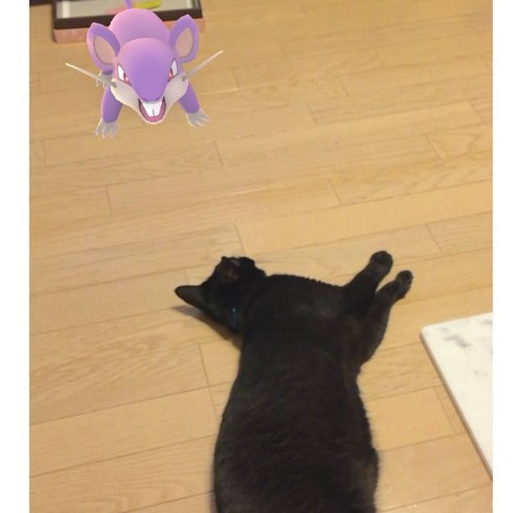 B32aa4d4 b8ec 4952 a23e f92c295f1bcd