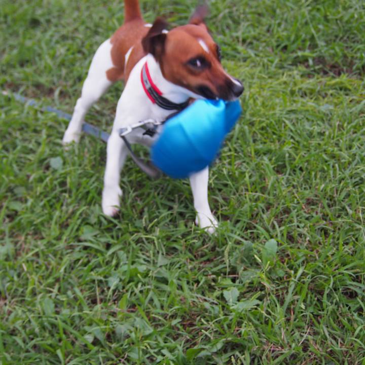 B32b2a25 8ada 4bbf a0c5 8099df8666eb