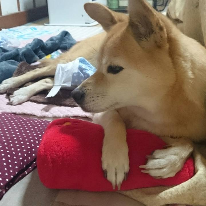 B32cbe8e 0f22 478c b36a 7c11823a5572