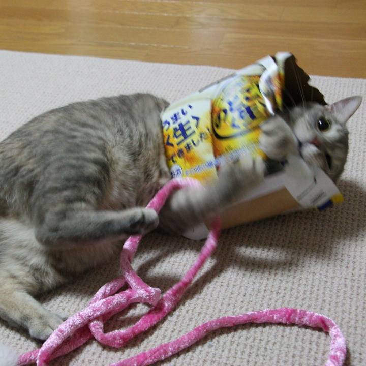 B32d7a14 6836 41a5 ae41 53ca2b1eea7d