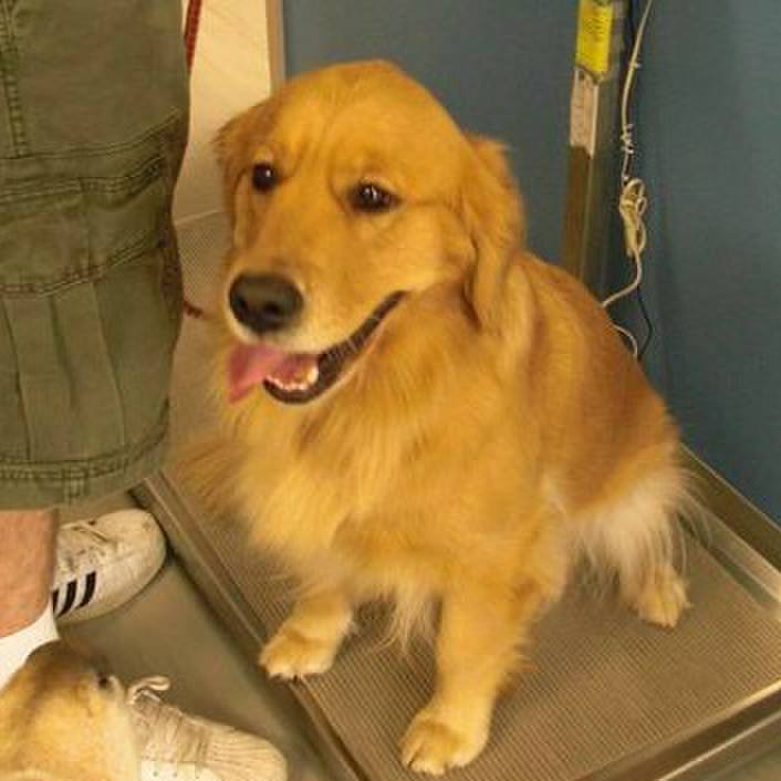 B32de3f2 4d01 468c 96c3 bf9fe473bc80