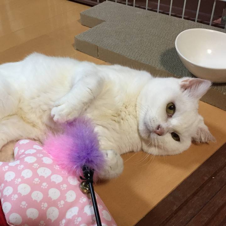 B32e611f 1675 4e50 ad89 cefd00332eb1