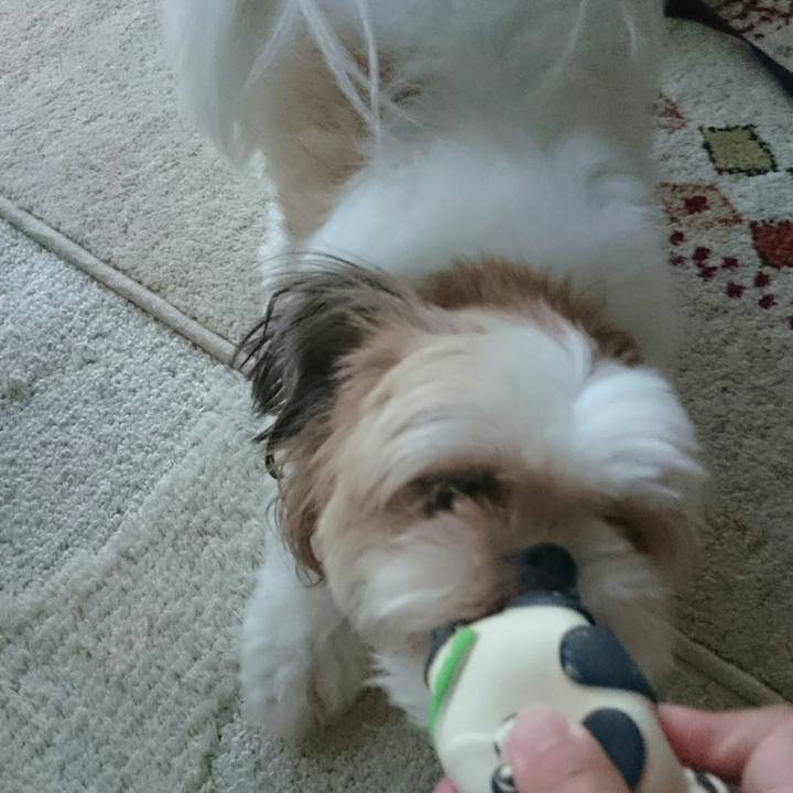 B32e7398 7d89 47c8 be29 2d8867d25b59