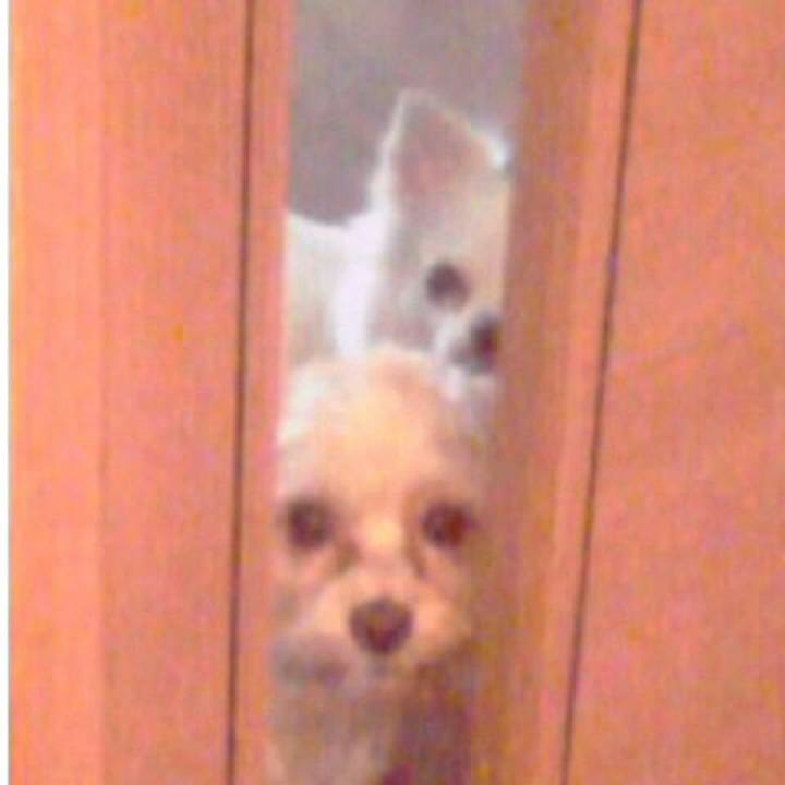 B32edf09 976c 4a1a 8b94 1bbebf08b93b