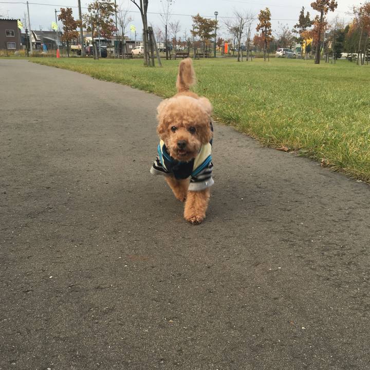 B32f06eb 1a3d 4344 b2dc 2bbe59db1903