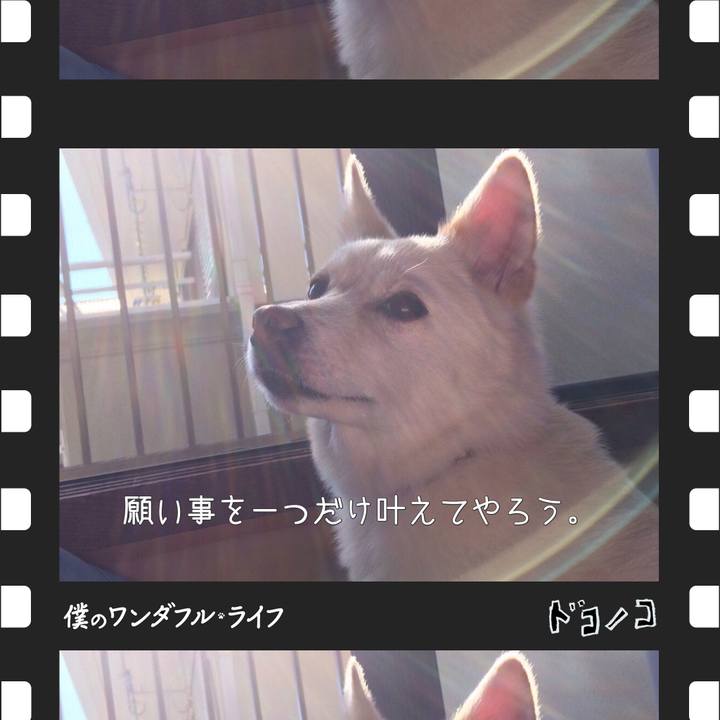 B32f229b 5026 4a06 a624 a9e1494aadc4