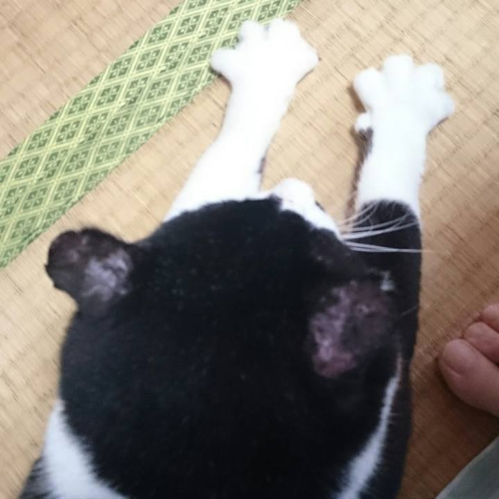 B32f5206 4ac8 4889 a922 81e357572191