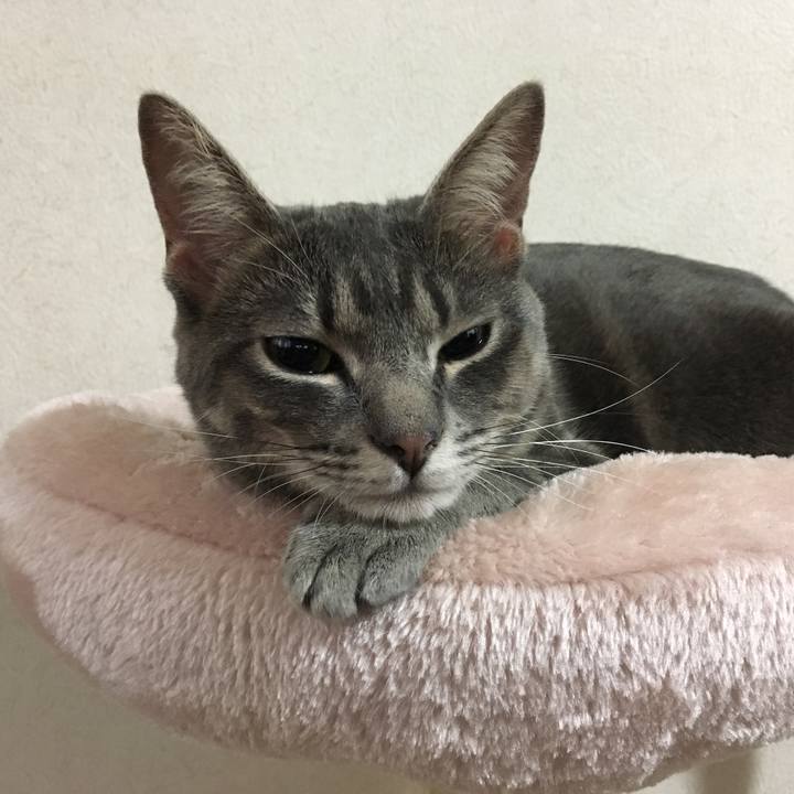 B32f7d88 829f 4e98 8ee4 666024adc5e5