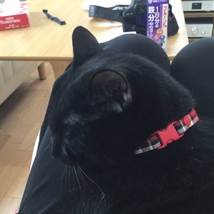 B32fce0d 4162 4b94 8fa5 537d88b3e53a