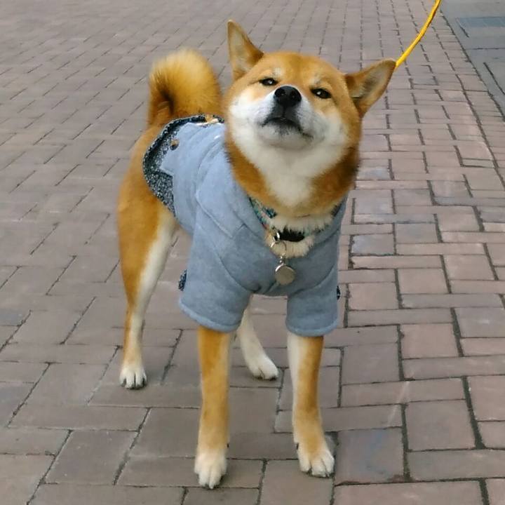 B33048ad 641f 4b99 8b44 f093b7a6dafd