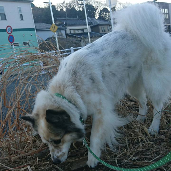 B3310617 17d3 4208 b276 be73b7f31ac4