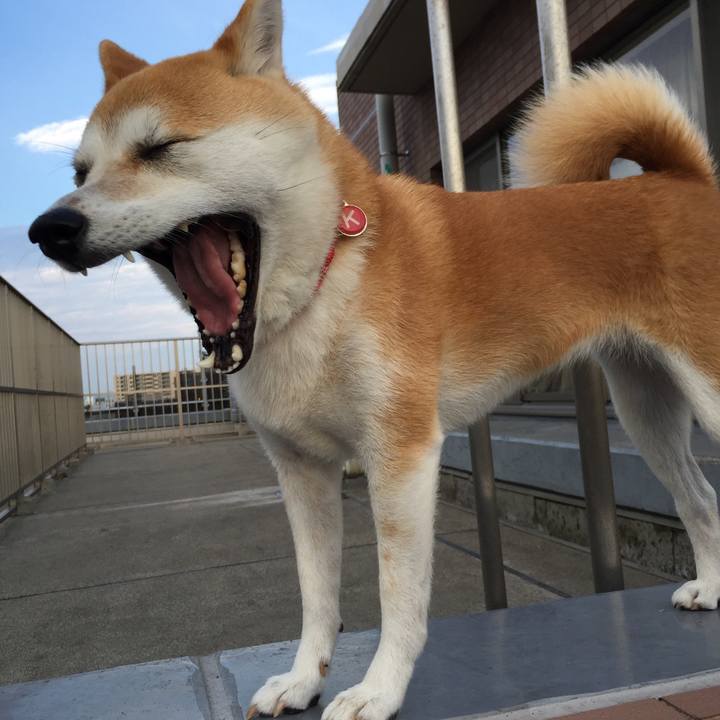 B331c68a 2252 43a7 b3d5 438f46879ca5