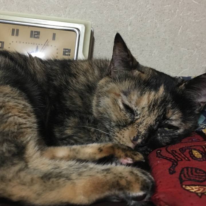 B3321e59 ac86 44b9 8f96 d176f2e9c283