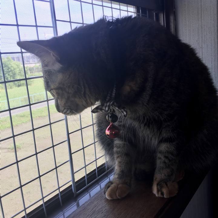 B33407e3 30a9 4e1c 8587 464273ba6d5a