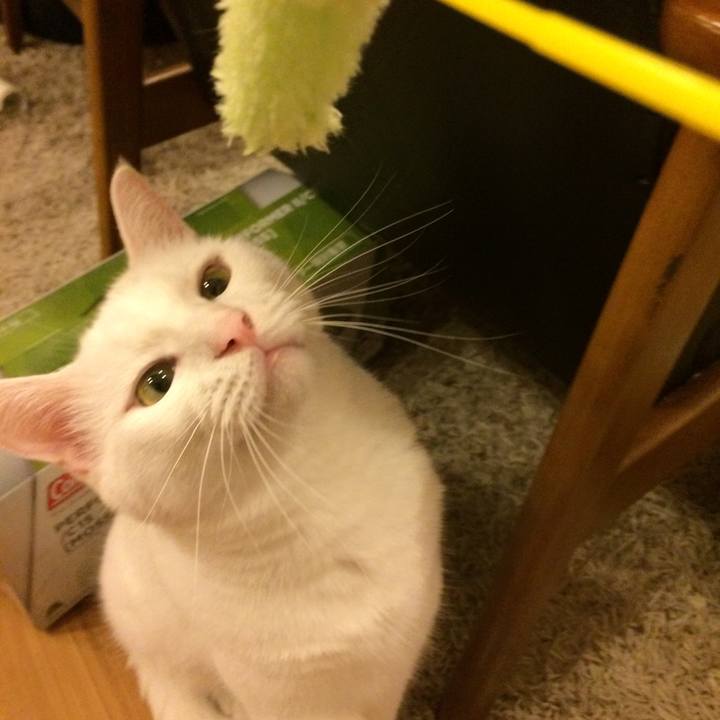 B334190a e9c9 4ea4 a42e 9cada7d4164e