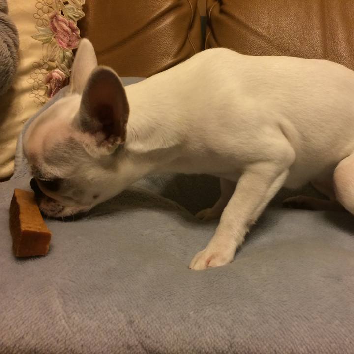 B3348a4a 4b62 4bde b5e1 56dc7b3c79bd