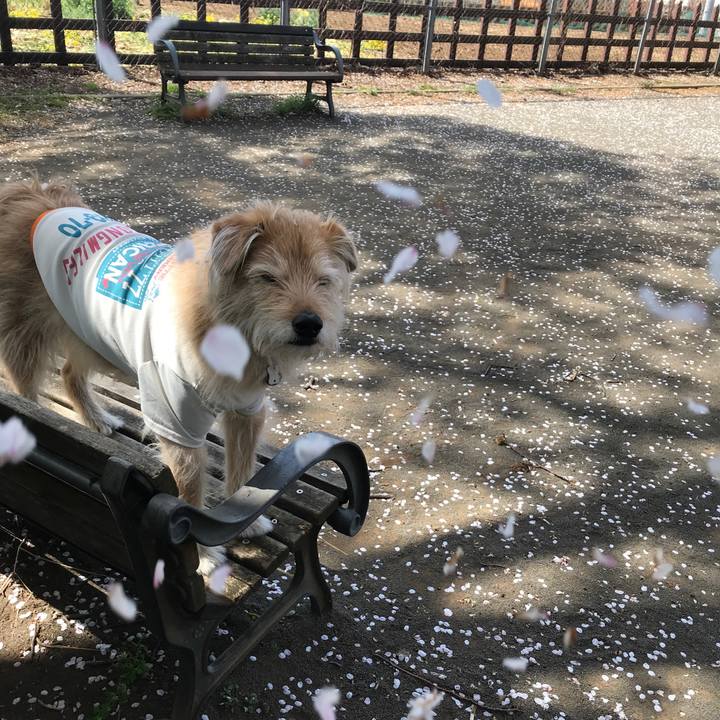 B334f9de 8fda 4d70 a346 1923344e0a0f