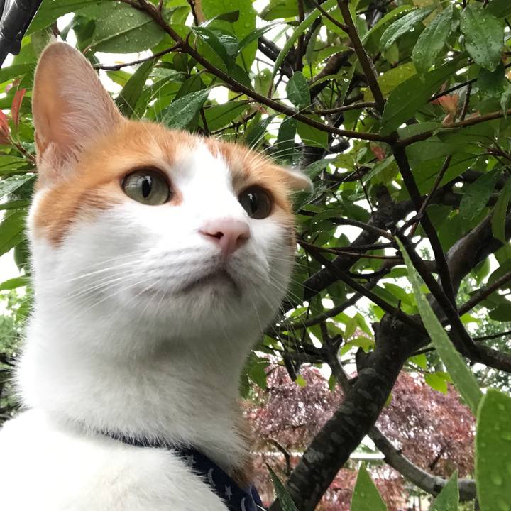 B3350822 4f04 48a6 b113 4d0b4dd90c0e