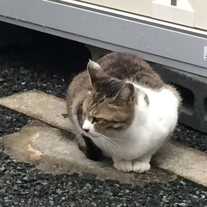 B3361ba7 efc3 4b07 b4fd 2d4478b2759a