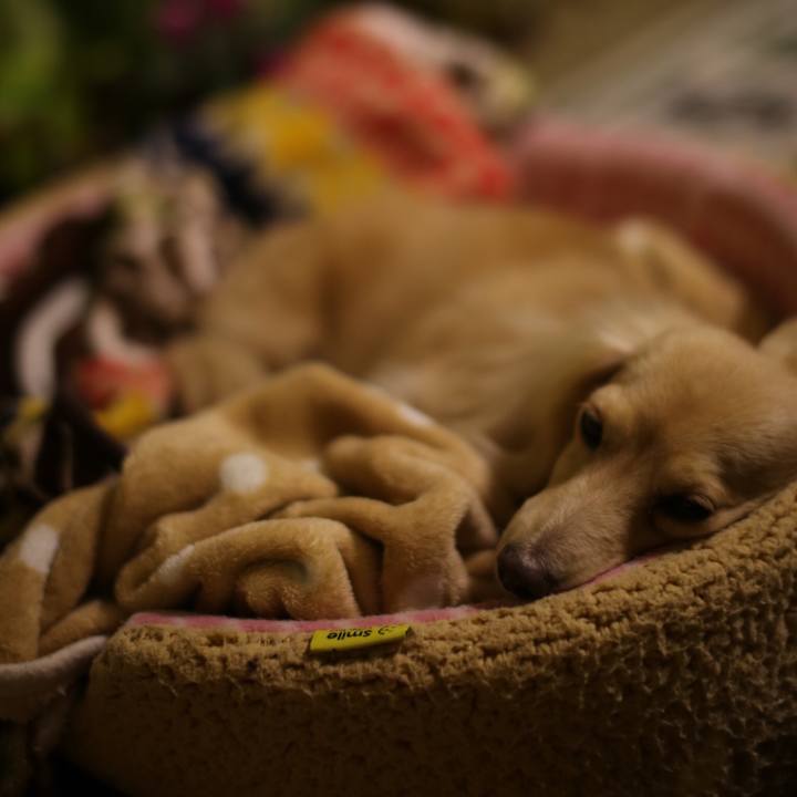 B336ce92 7e9f 403e 8299 7d1c2126785e