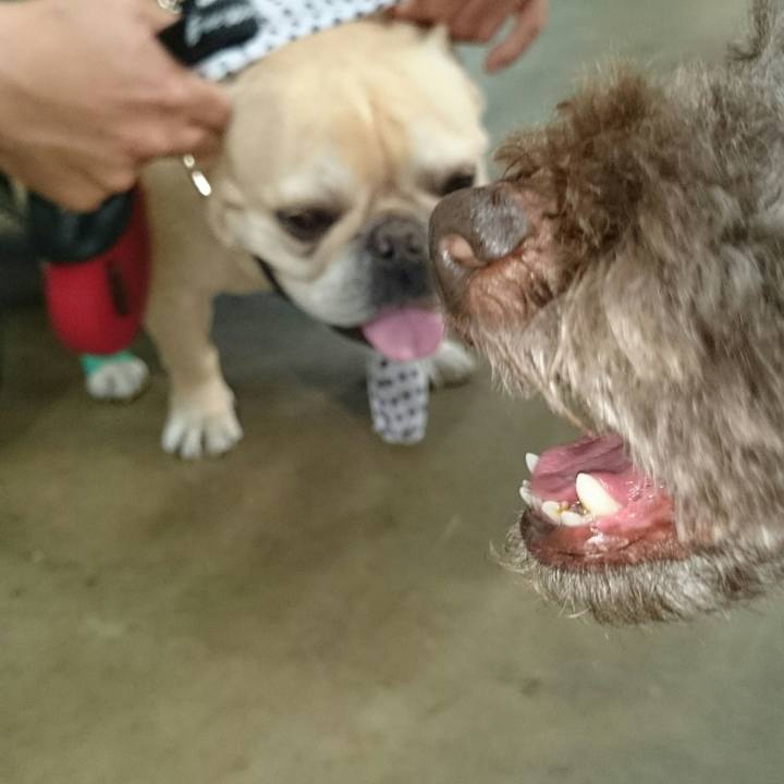 B337468e d157 4f7e 9f4b 2882bd54b6bf