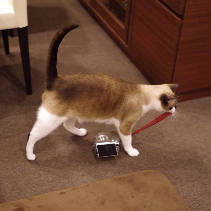 B3375878 4ebe 40ed 99fd c6ba04b4f869