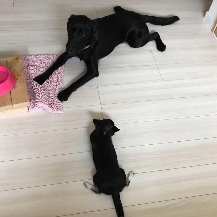 B3379ba3 f295 42e5 8aa4 0b25e0e89970