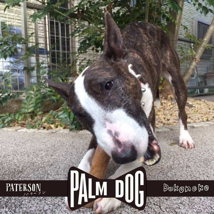 B337c4cb a04c 49e3 be00 87c9f228c683