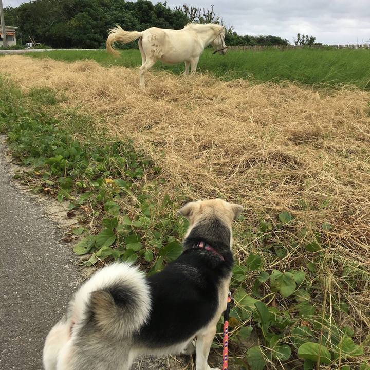 B3399283 a3c0 4913 b219 f9530f0d30b5