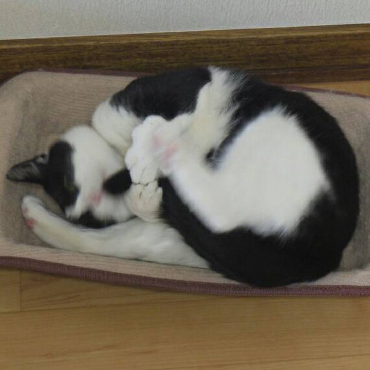 B339d0bb b704 4b21 b0ce 0c6dfc8620e7