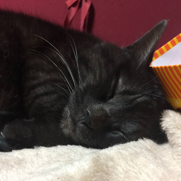 B339eb3e 8769 4bb4 ba18 dcb61d339bf3