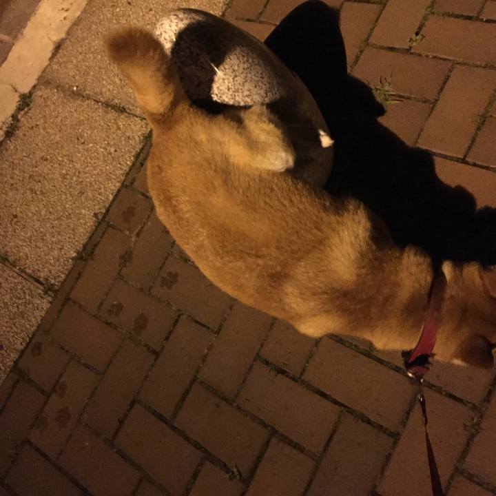 B339f2f6 9807 4067 8134 6ca63f1f2abf