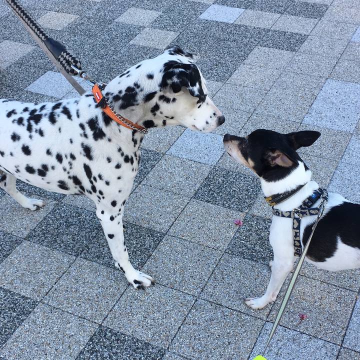 B33a9f30 2f85 4765 b0fc b321db443623