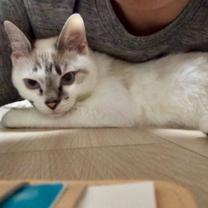 B33adcb7 ed43 46e3 9b34 4be59cce1f9a