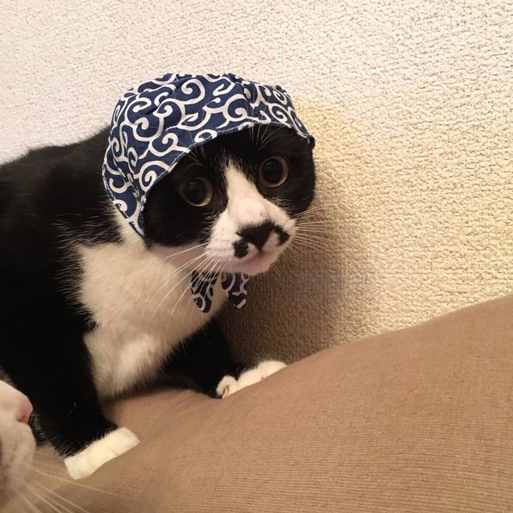 B33b012e 3158 46b0 9e2e 70a1bc2623e1