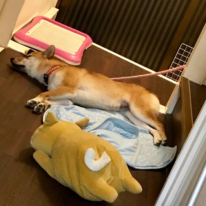 B33b4bff 2ebf 4a7e 9df3 9676204647ef