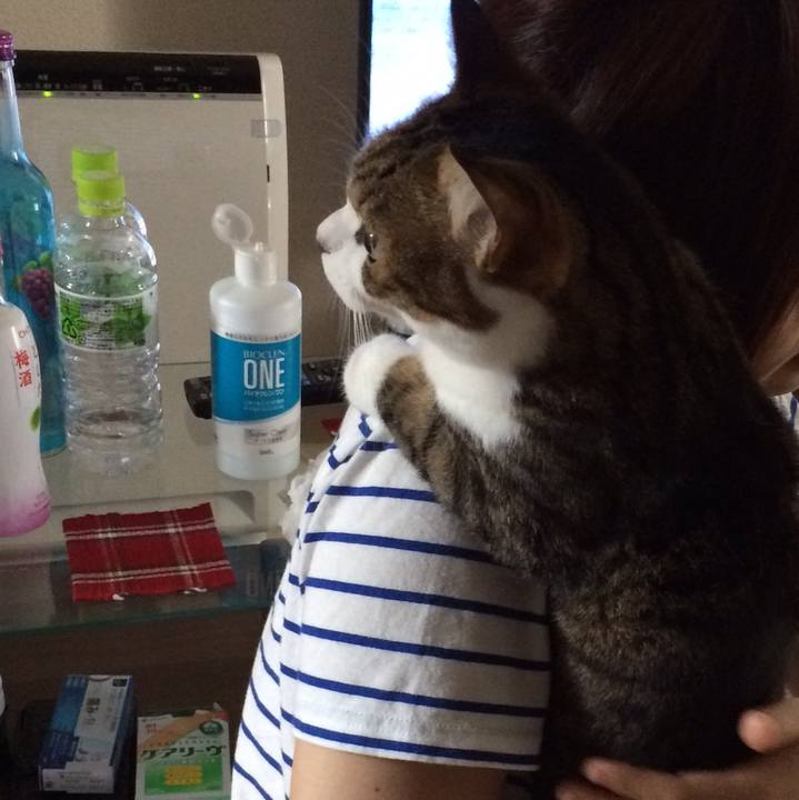 B33bd4eb 72c6 4962 982f 9c087de0e9c6