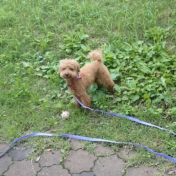 B33c08b2 2a3e 41d3 a203 4c033b7fd645