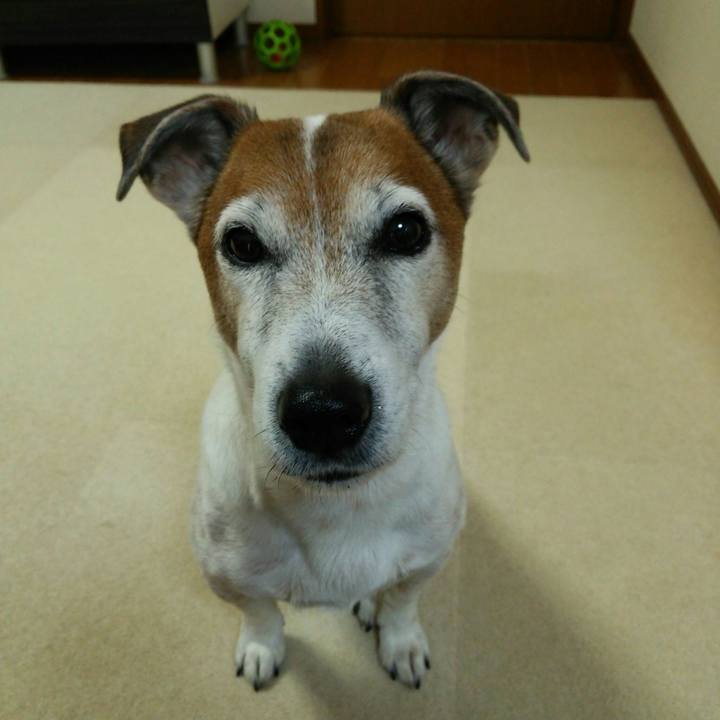 B33c1e16 e3c7 4438 9f58 2ac52cfbc0a1