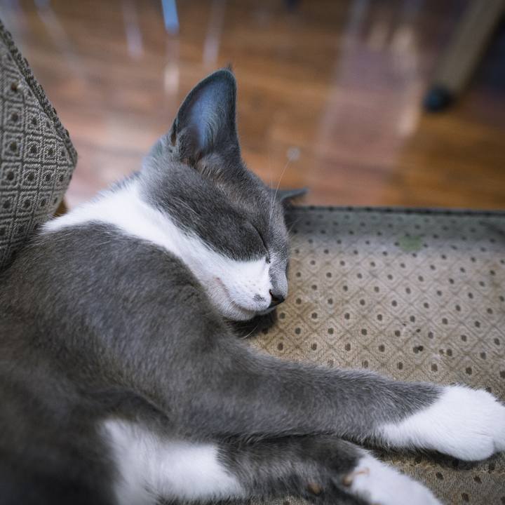 B33c2ab4 fed2 43e7 9ba0 6745d733f0a8