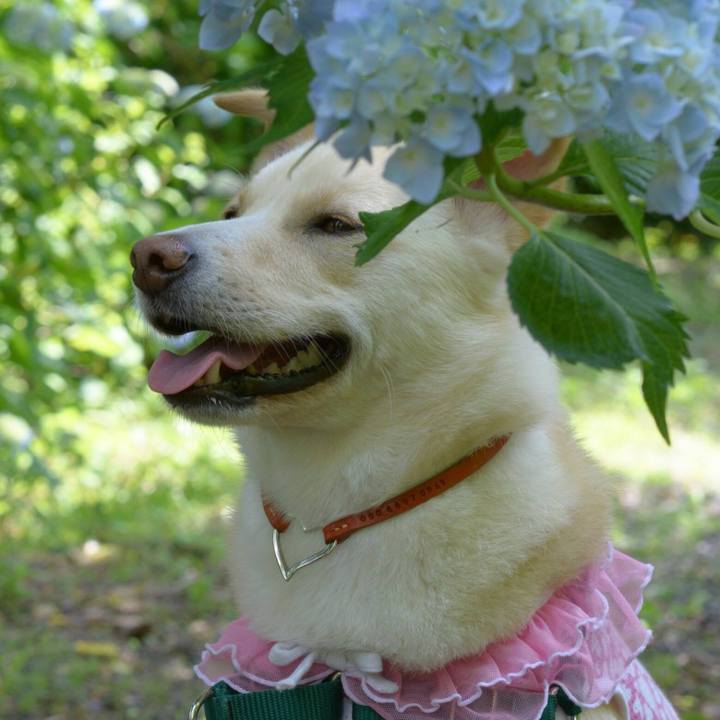 B33c3aa3 9c4d 44ad a836 39ed14c614df