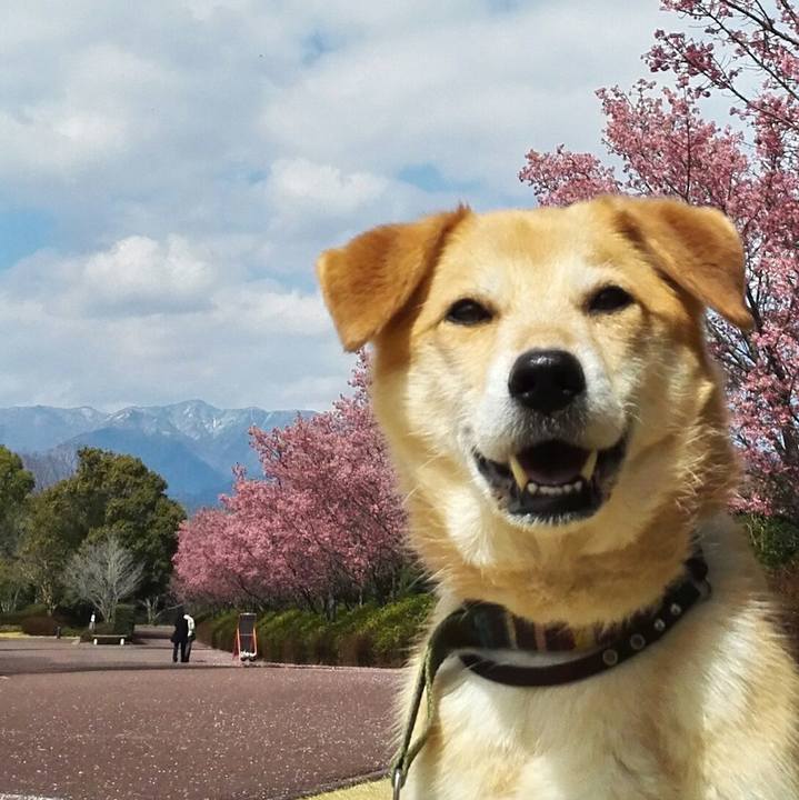 B33c95b7 641c 4211 b20c 036a37bbee5b