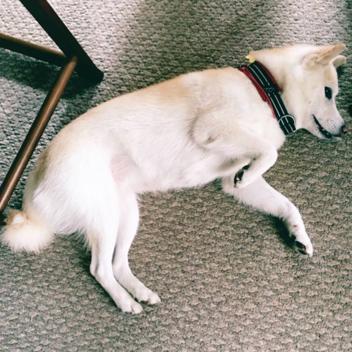 B33d17da 2e60 495b 9515 75800628242e